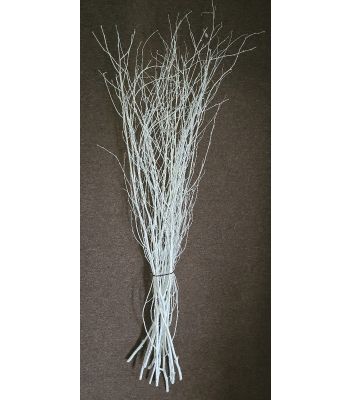 Birch Twigs White Painted   2-3ft  50/pk